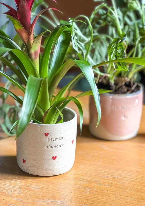 Le cache pot personnalisable 🪴
