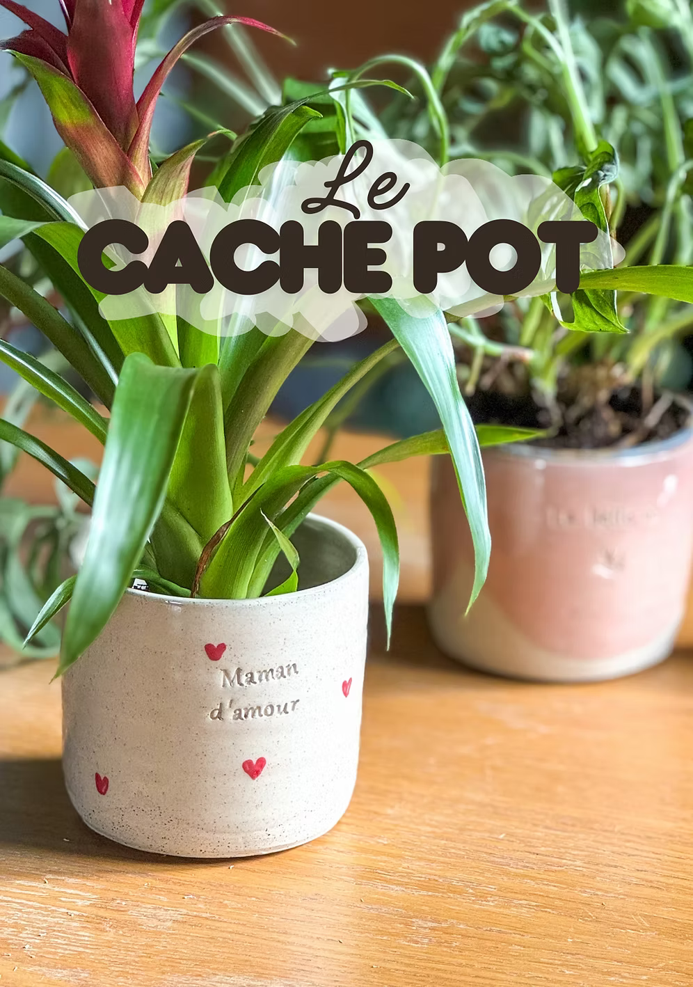 Le cache pot personnalisable 🪴